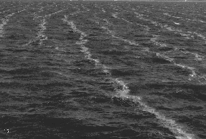 Surface Streaks