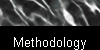  Methodology 