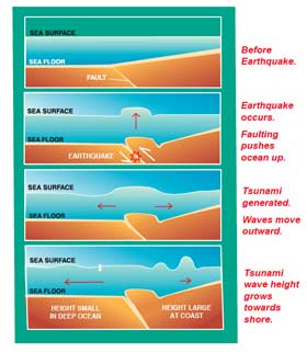 Image: Graphic showing how earthquakes cause tsunamis