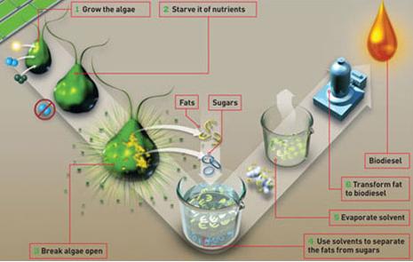 chemical process